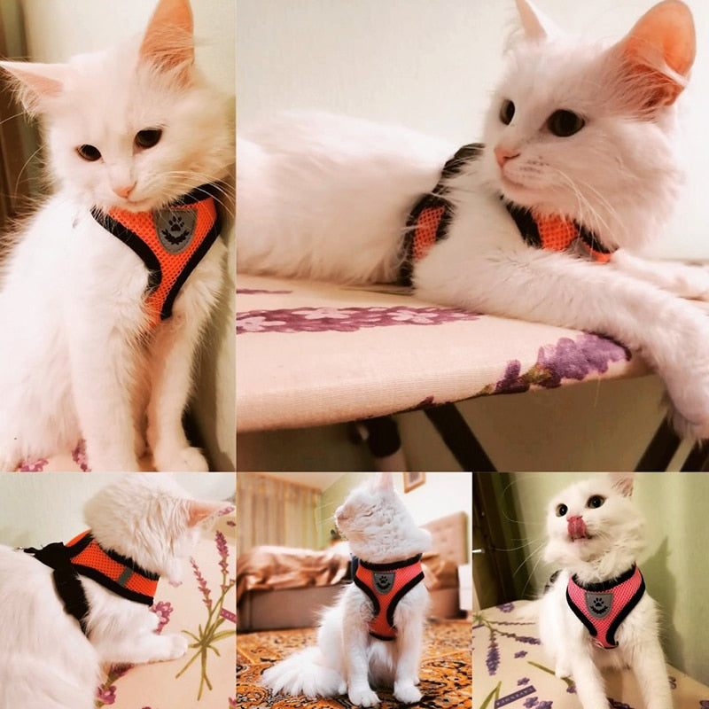 Cat Dog Harness Adjustable Vest Walking Lead Leash For Puppy Dogs Collar  Mesh Harness For Small Medium Dog Cat Pet Accessories